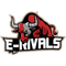 E-RIVALS