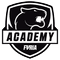 FURIA Academy