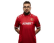 torzsi