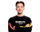 zorte