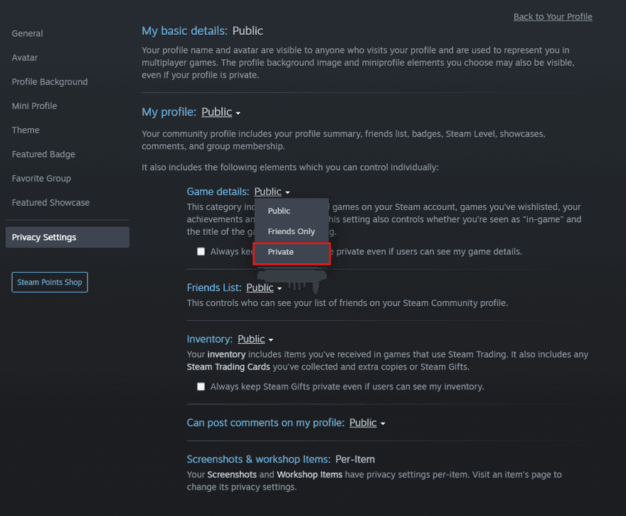 How to Hide Match History in Dota 2 | Profilerr