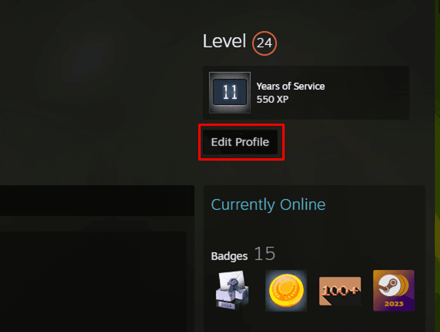 How to play faceit cs2 profilerr
