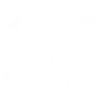 VERTEX