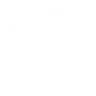 MIBR Academy