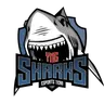 Sharks Youngsters