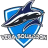 Vega Squadron Academy