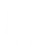 Brute