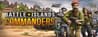 Battle Islands: Commanders
