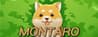 Montaro
