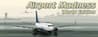 Airport Madness: World Edition