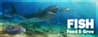 Feed and Grow: Fish
