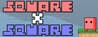 Square x Square Square x Square